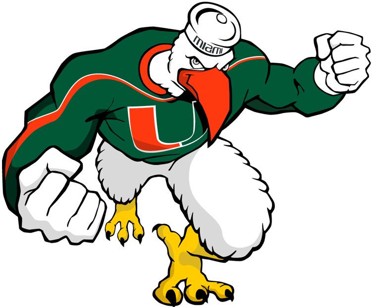 Miami Hurricanes 2000-Pres Alternate Logo diy iron on heat transfer